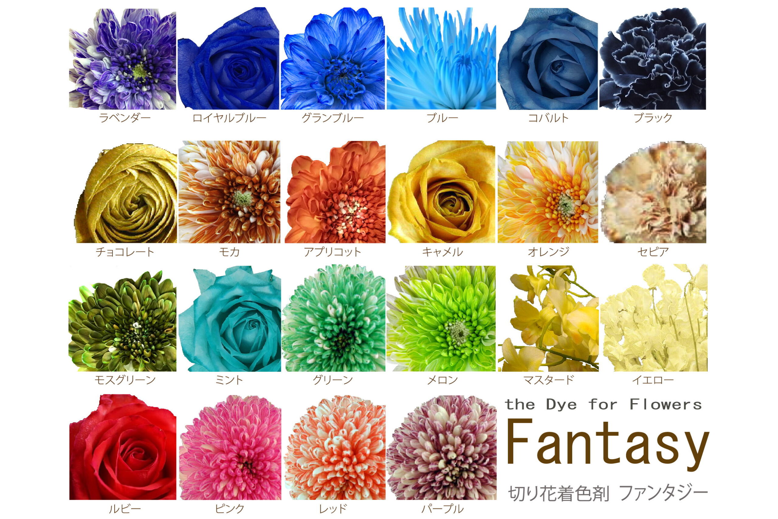 ファンタジー | 商品 | 切り花鮮度保持、染め花、プリザーブドならパレス化学 ～the-flower.biz～